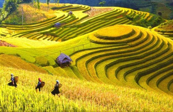 Mu Cang Chai Hong Minh Guesthouse מראה חיצוני תמונה